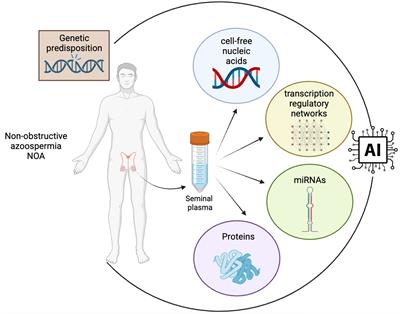 Non-invasive biomarkers for sperm retrieval in non-obstructive patients: a comprehensive review